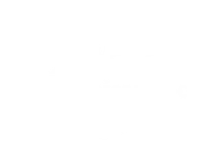 Limpiotapicerias logo